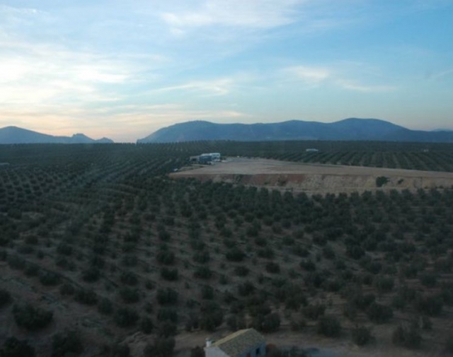 Vuelos al atardecer
